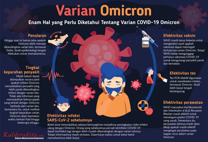Infografis Tentang Varian COVID-19 Omicron. (ist)